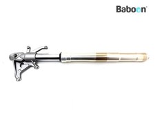 Gamba forcella anteriore