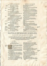 ERBORISTERIA MEDICINA MATTIOLI MATTHIOLI foglio Capolettera R 1604 Antique print