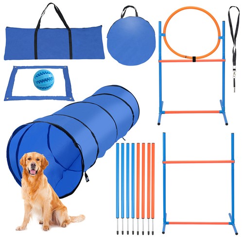 Cani agility addestramento - cani,