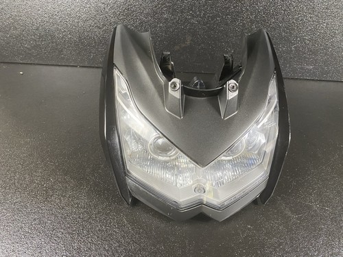 2010 2011 kawasaki - 2010-2011,