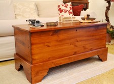 Cassapanca in Legno massello Baule Vintage in stile con contenitore noce antico