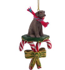 LABRADOR RETRIEVER (chocolate)