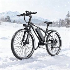 Bicicletta elettrica 750W 26
