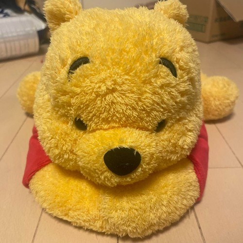 Tokyo disney resort winnie - tokyo,