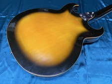 Chitarra Eko Florentine 360