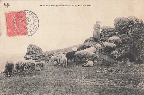 Mouton avec bergère - mouton,