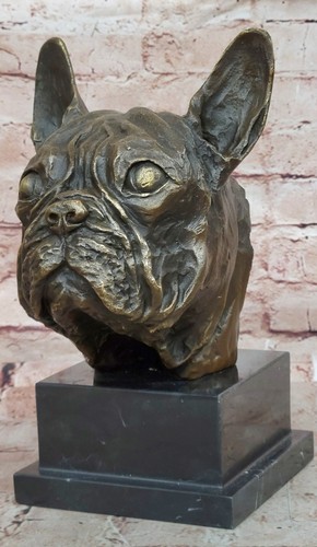 Scultura figurativa bulldog - bulldog, in