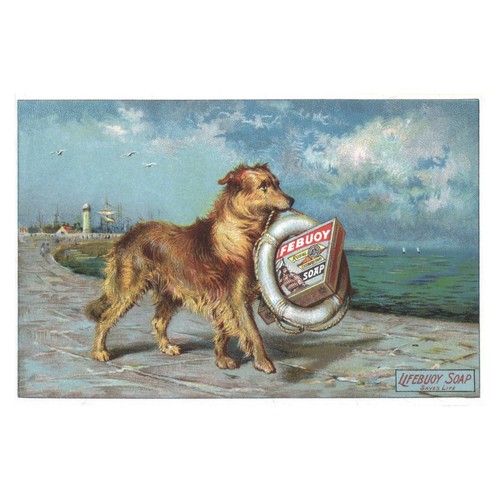 Cane con salvagente poster - salvagente,