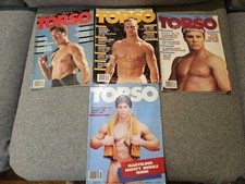 Torso - Torso's Stallion Lot