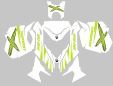 Kit Grafica SKI DOO SUMMIT