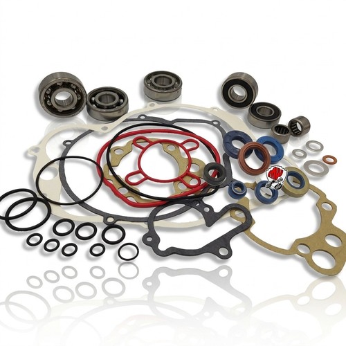 Kit revisione motore minarelli - revisione,