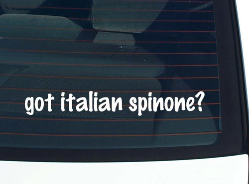 Hai spinone italiano - spinone,