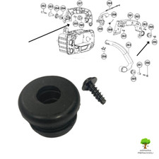 AMMORTIZZATORE + VITE