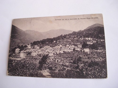 Como lemna 533 visto - lemna,