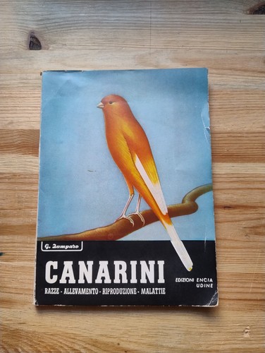 Canarini razze allevamento