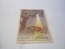 FIGURINA FERRERO - CACCIA