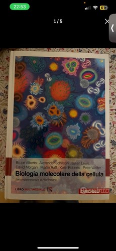 Biologia molecolare della - biologia,