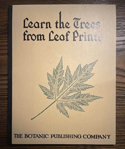 Learn the trees from - from, leaf