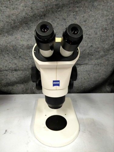 Microscopio stereo zeiss stemi - stereo,