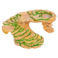  Accessori Per Rettili Casetta