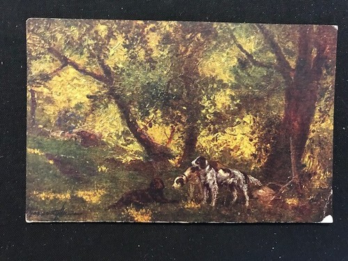 Cartolina cani caccia - da,
