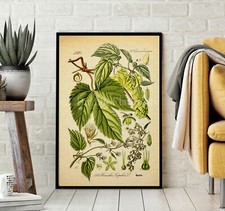 Stampa artistica luppolo