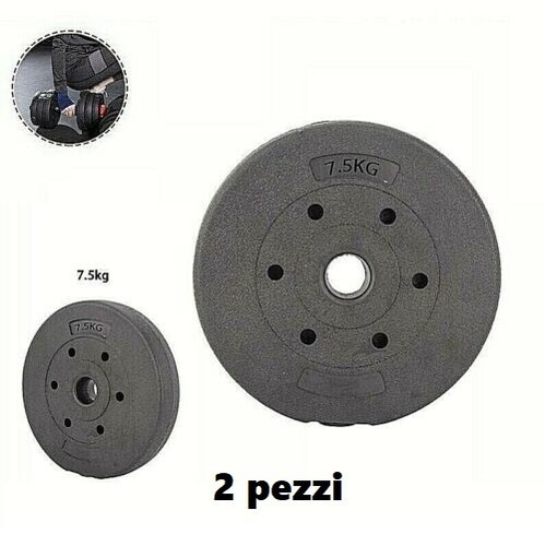 Coppia dischi dummbell pesi - x,