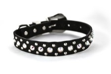 NUOVO! Collare per cani in