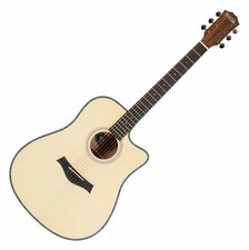 Chitarra Acustica Folk