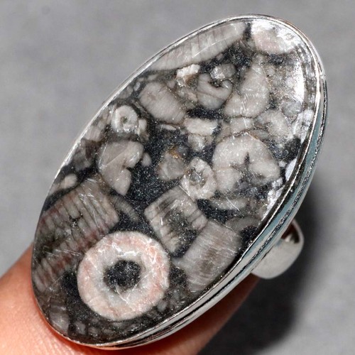 Anello fossile crinoide