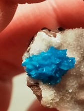 Belle Cavansite bleue sur
