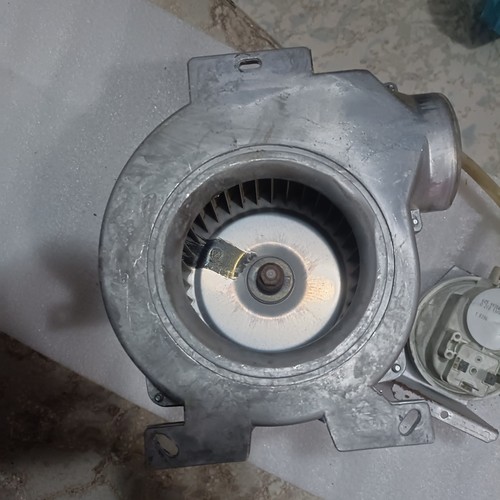 Immergas ventilatore natalini - immergas,
