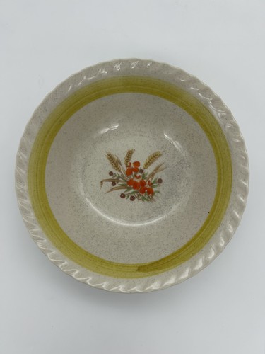 Bellissima ciotola ceramica