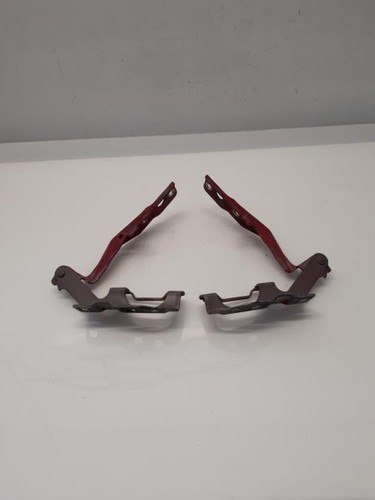 Cerniera cofano nissan trail - cerniera,