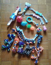 Set 21 Giochi per cani