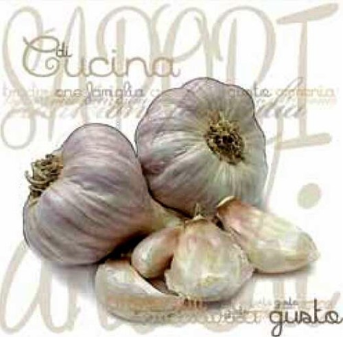 Quadro aglio verdura - quadro, frutta