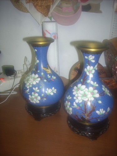 Coppia vasi cinesi con - coppia,
