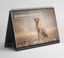 Rhodesian Ridgeback calendario da scrivania 2026-2027: calendario da scrivania ribaltabile in piedi