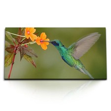Quadri stampa artistica 120x80