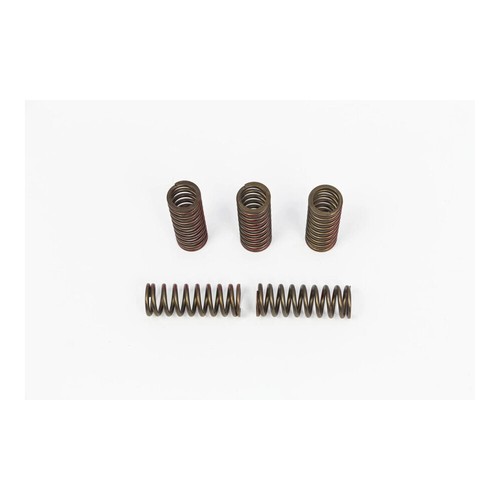 Kit molle frizione pro - pro, circuit