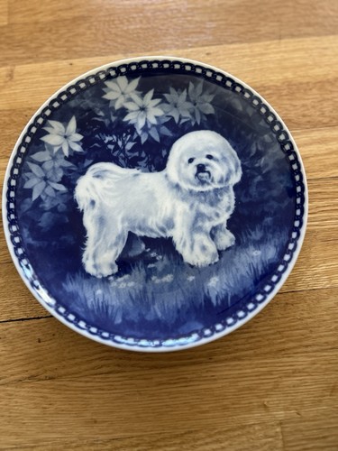 Piatto brichon friche - piatto,