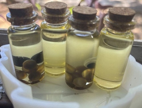 Miscele olio oliva - di,