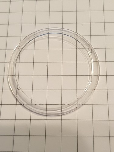 Ricambio rolex protezione