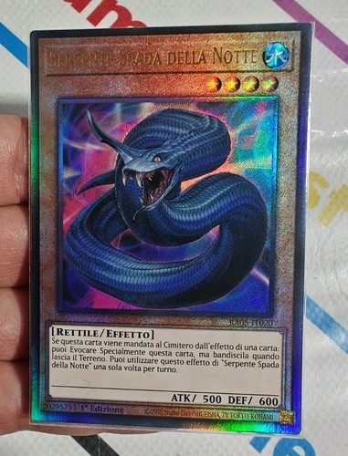 Serpente spada della notte - della,
