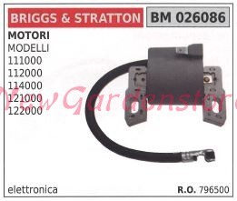 Bobina accensione briggs - , &