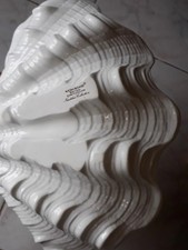 Grande Wedgwood Nautilus