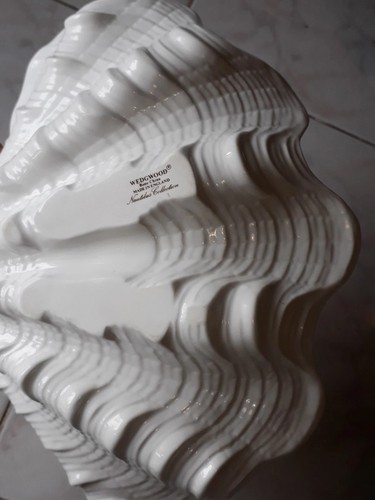 Grande wedgwood nautilus - wedgwood,