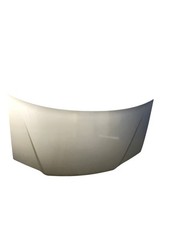 COFANO ANTERIORE GRIGIA STRISCIATA FIAT IDEA (2004) 1.3 DIESEL 51KW 5P