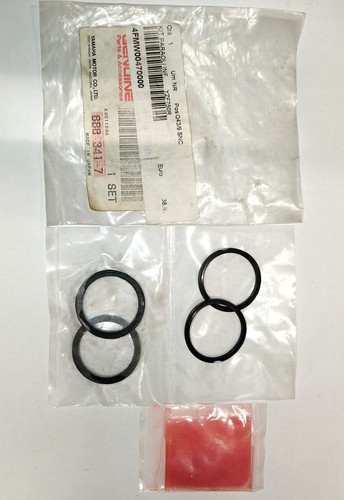 Kit revisione pinza freno - revisione,