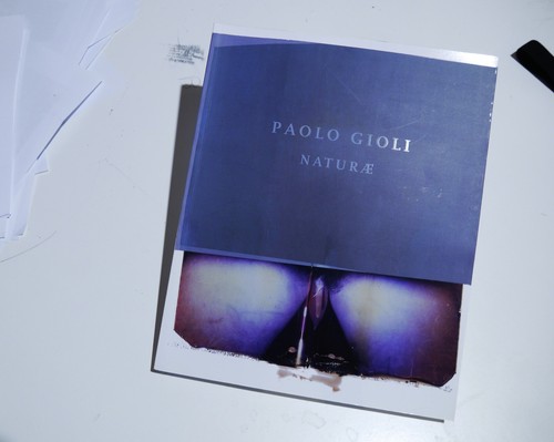 Paolo gioli naturae copia - "naturae",,